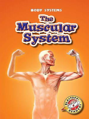 cover image of The Muscular System